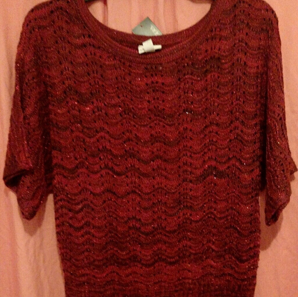 Sparkly red sweater